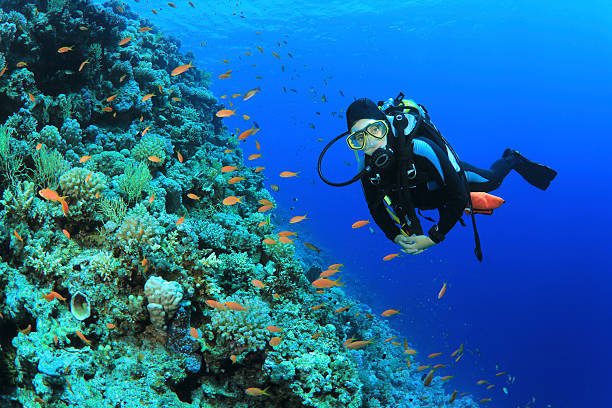 scuba at killa beach resort